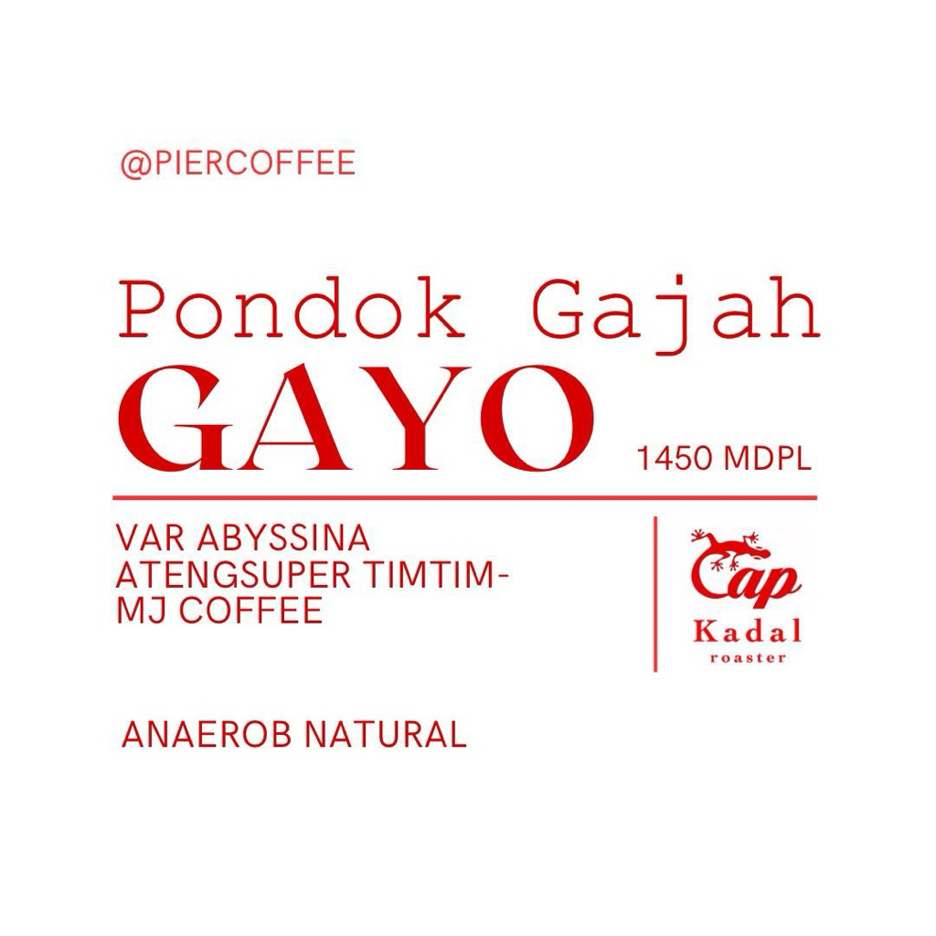 

Gayo Pondok Gajah Natural Anaerobic 200 Gr
