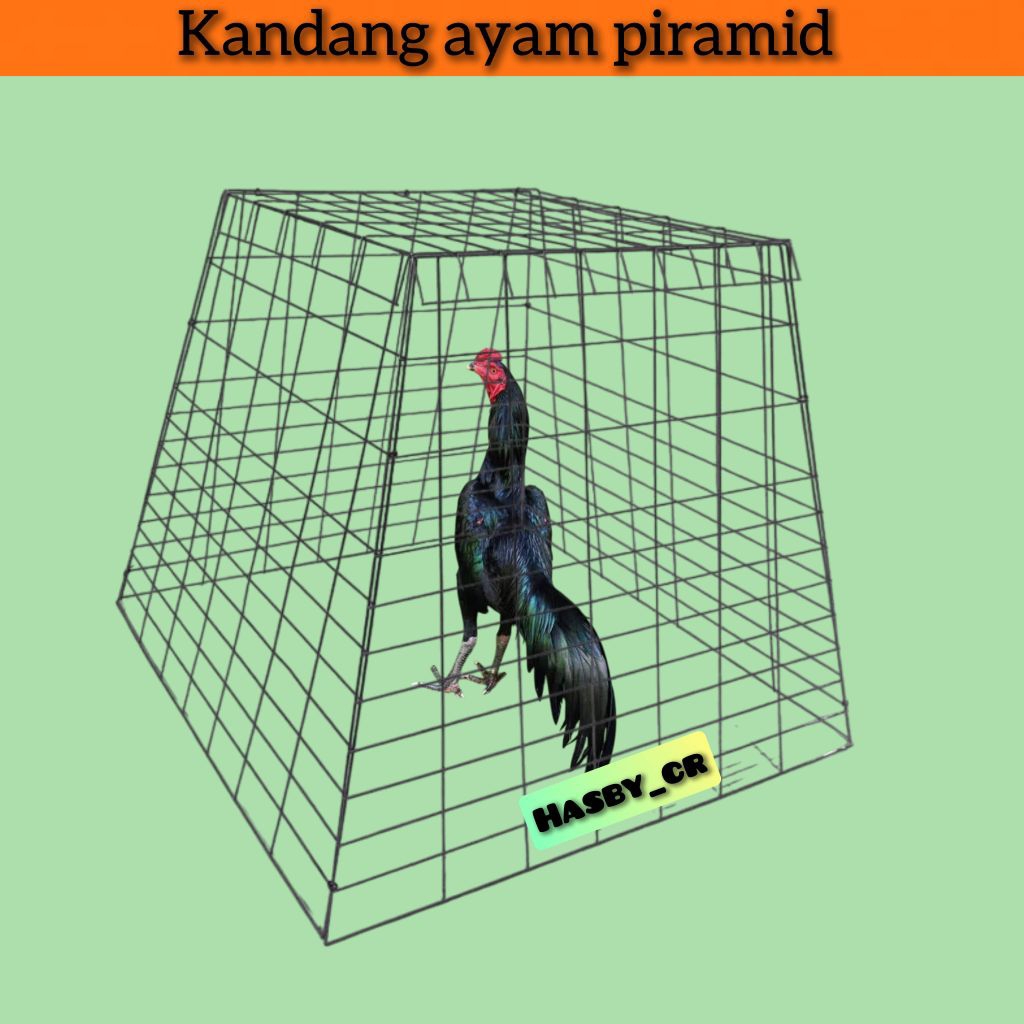 kurung ayam Bangkok piramida lipat, kandang ayam lipat tebal