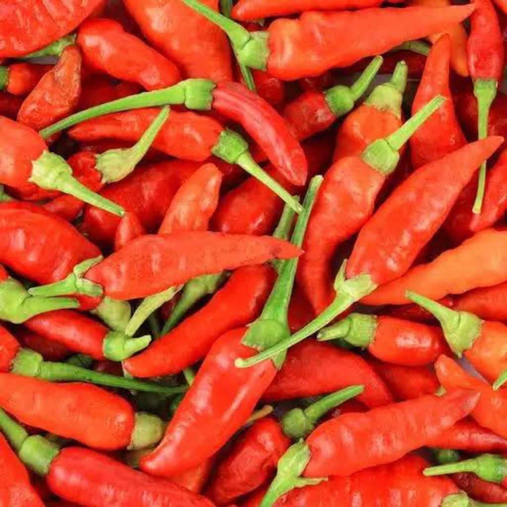 

Cabe Rawit 1kg