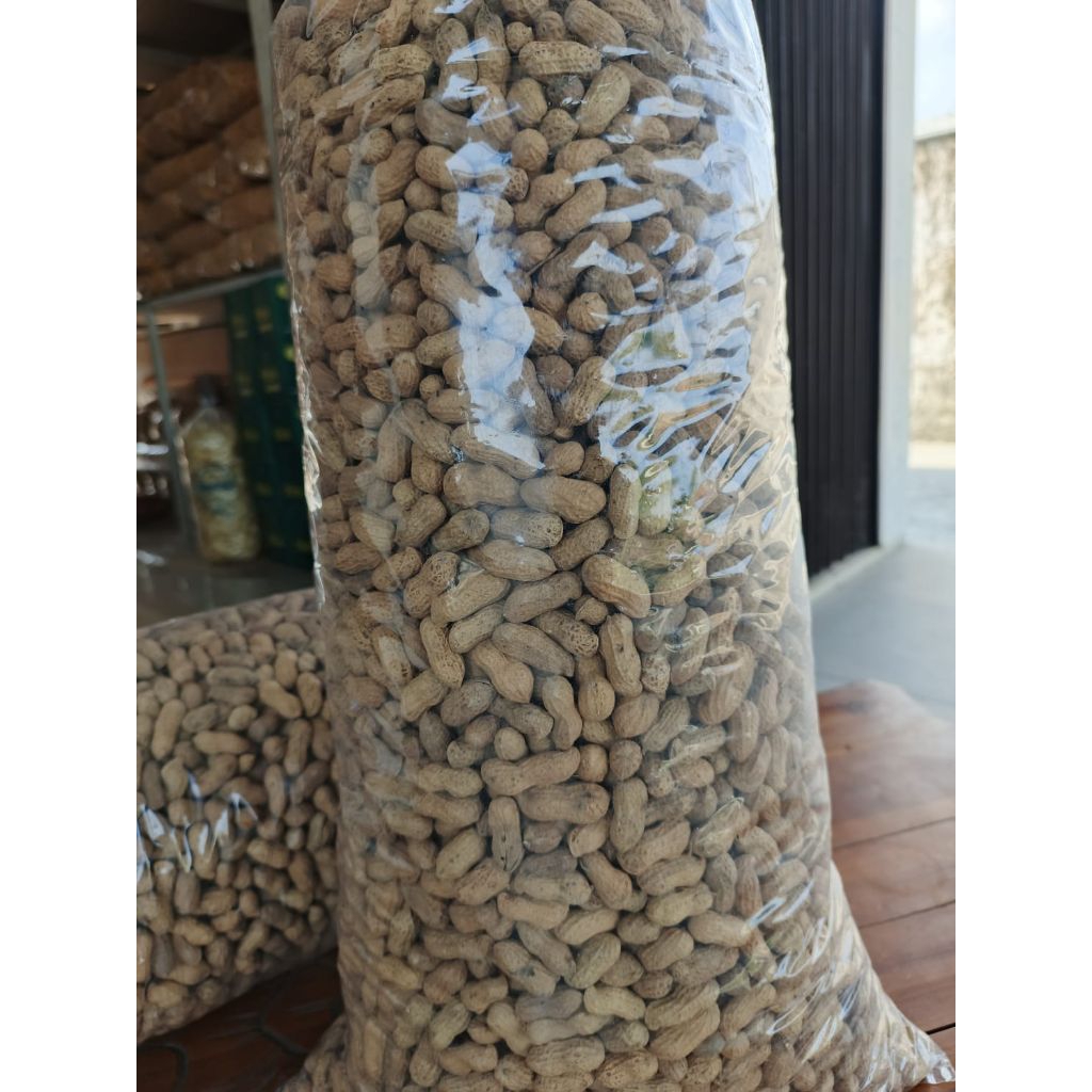 

kacang sangrai