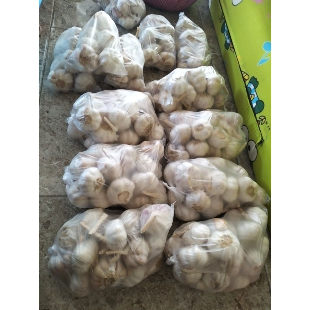 

bawang putih 1 kilo