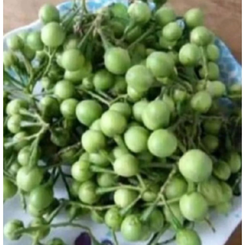 

PROMO BUAH CEPOKAK / KETOKAK LAMPUNG FRESH 250 GR