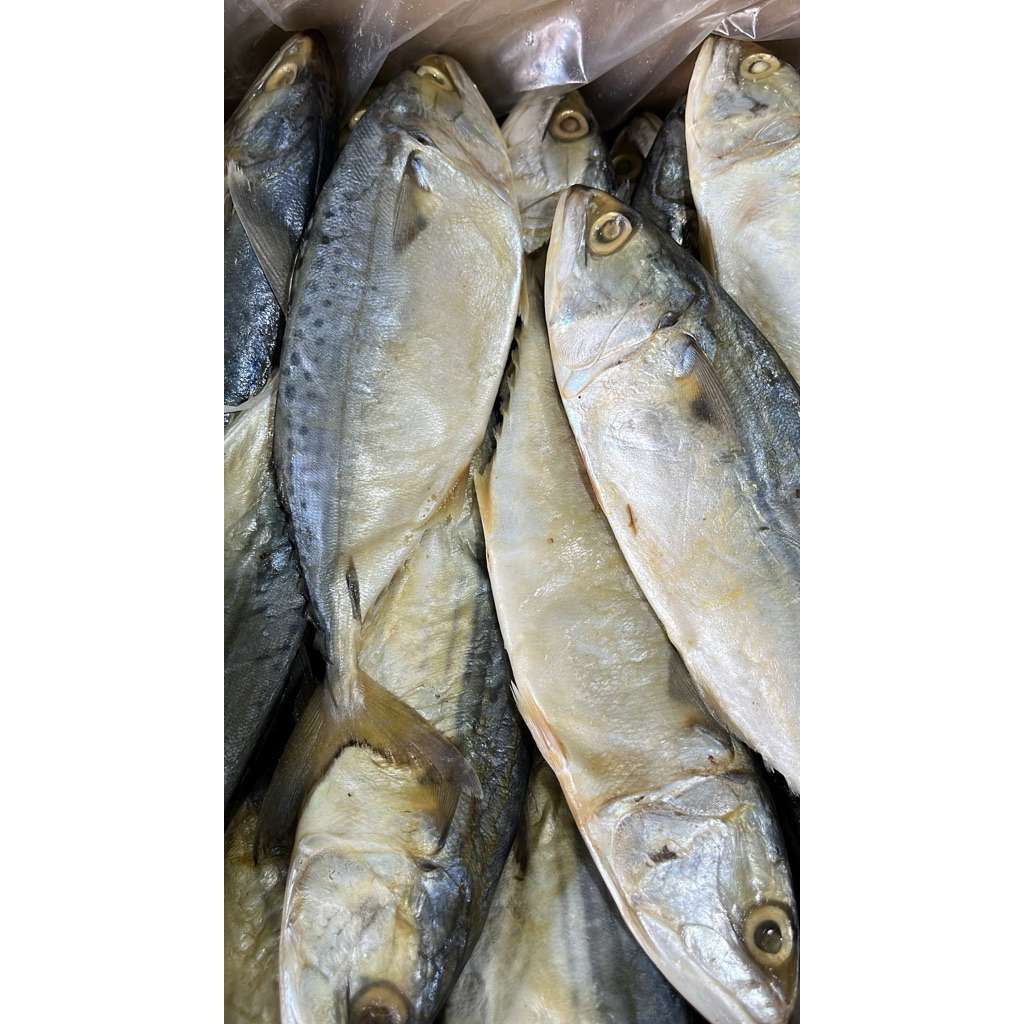 

ikan asin peda putih