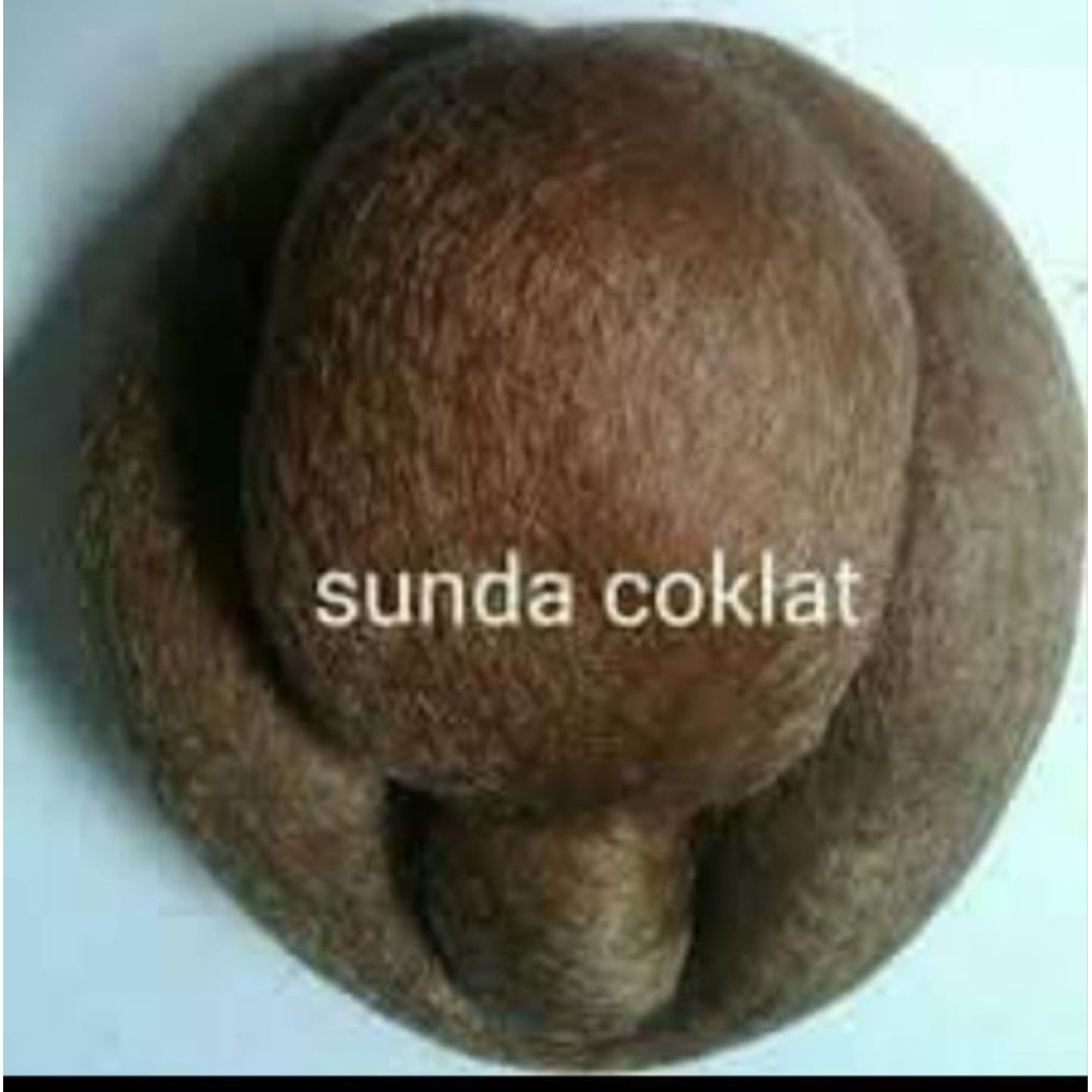 SANGGUL SUNDA#SANGGUL SOLO#SANGGUL JAWA