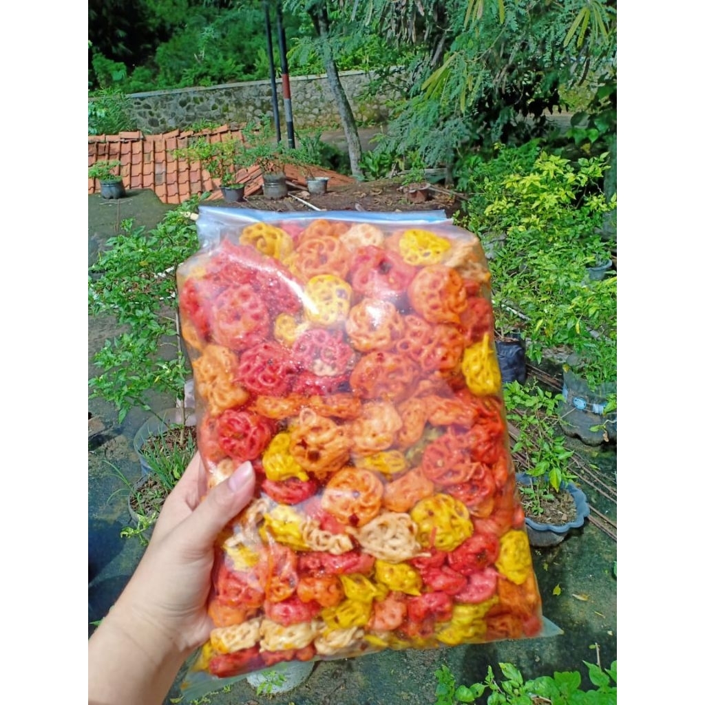 

Sebring mawar pedas cikruh endolita