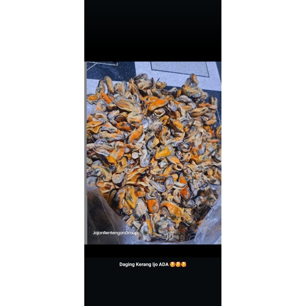 

daging kerang hijau kupas