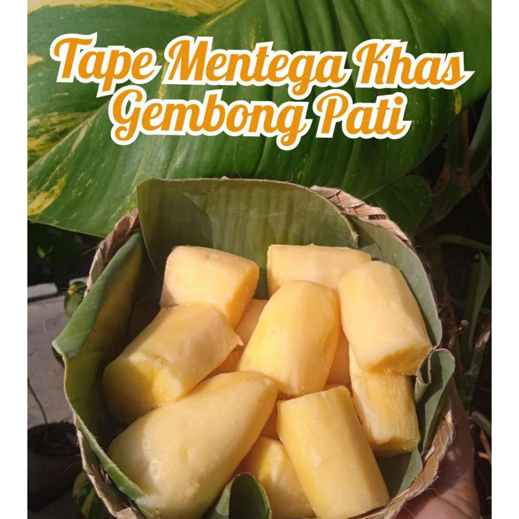 

TAPE SINGKONG MENTEGA KHAS GEMBONG PATI