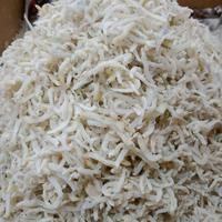 

SEGAR BERSERI - TERI MEDAN PUTIH 100GR
