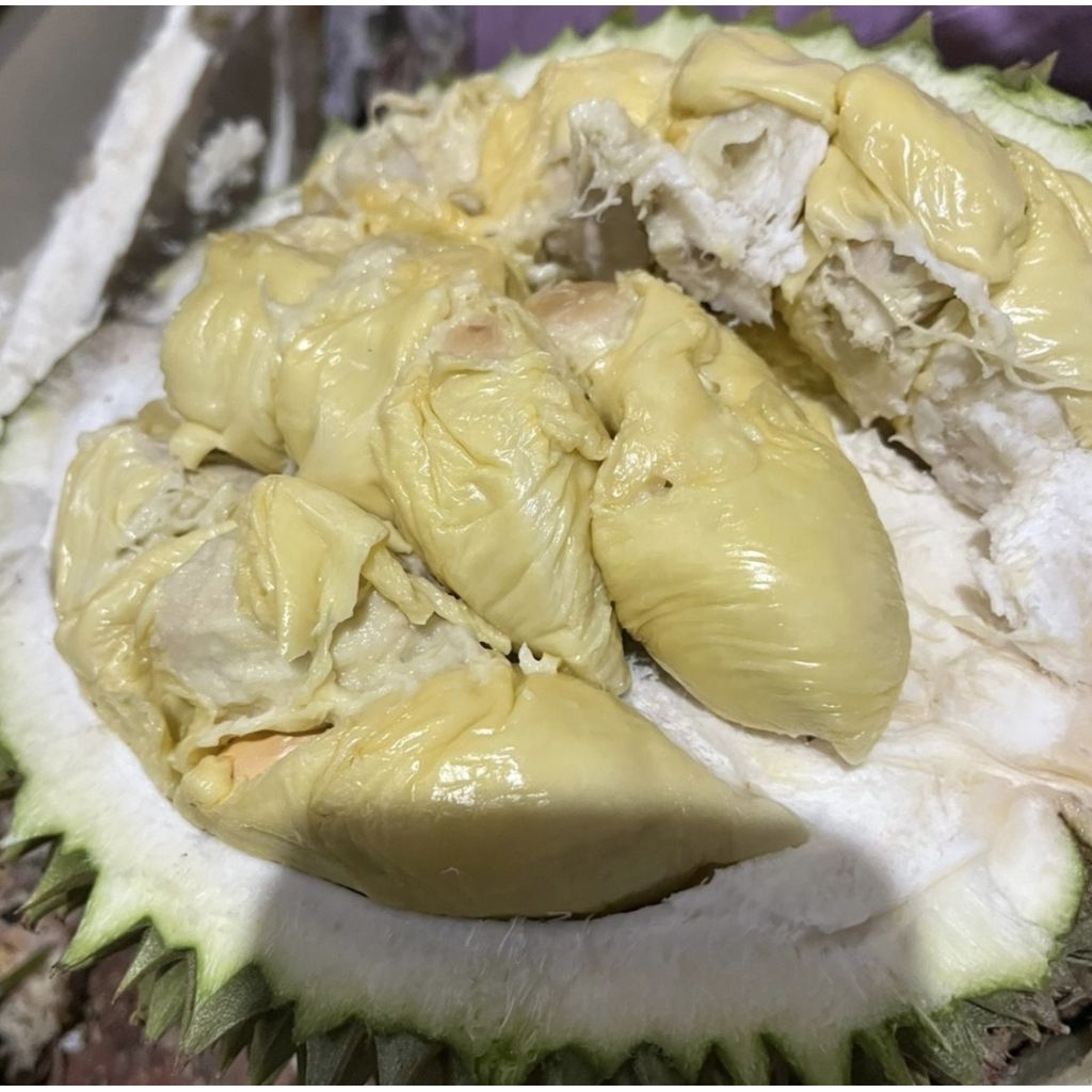 

durian Lokal murah