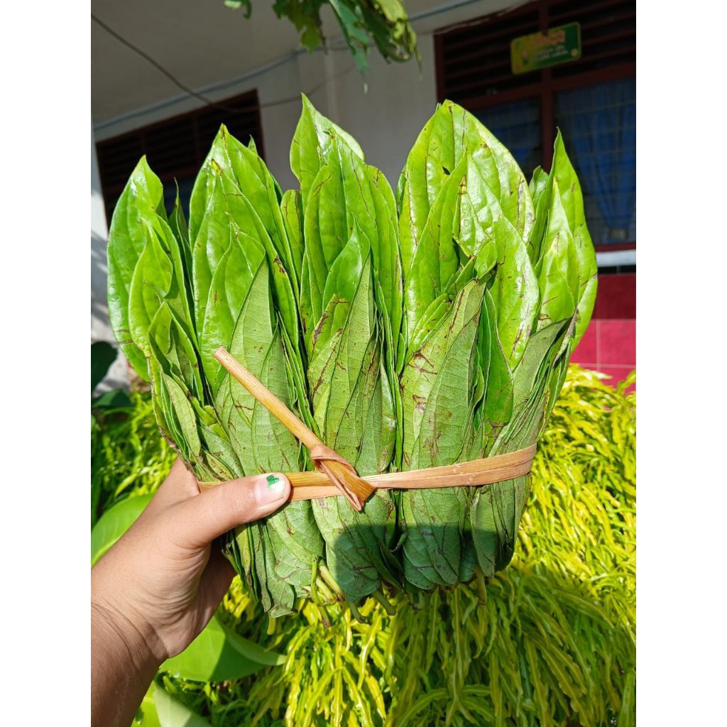 

SIRIH BIASA 1 IKAT