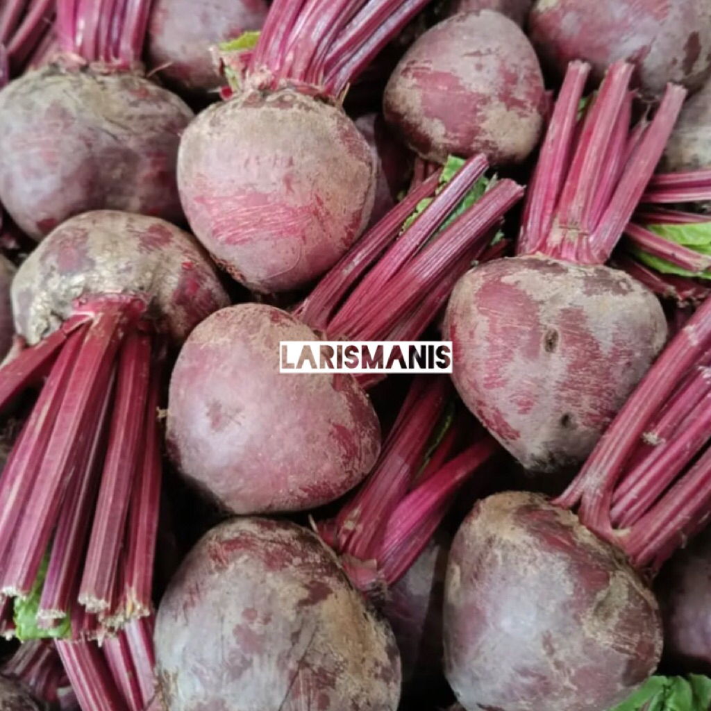 

1Kg Buah Bit Beet Root Murah