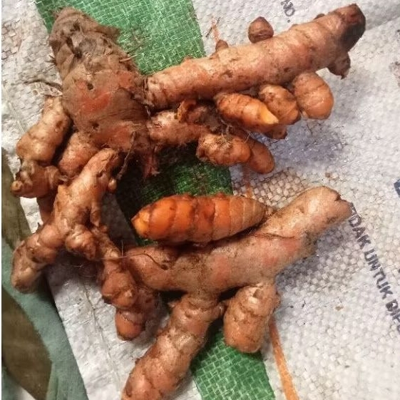 

kuning untuk memasak , herbal Alami , dan bisa di gunakan untuk obat tradisional kemasan 1 kg