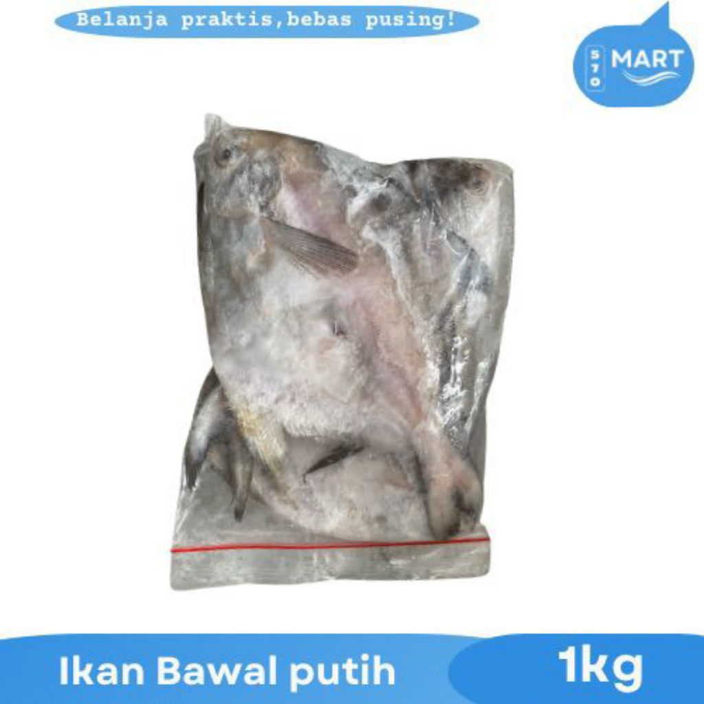 

ikan Bawal Putih Segar Beku 1kg