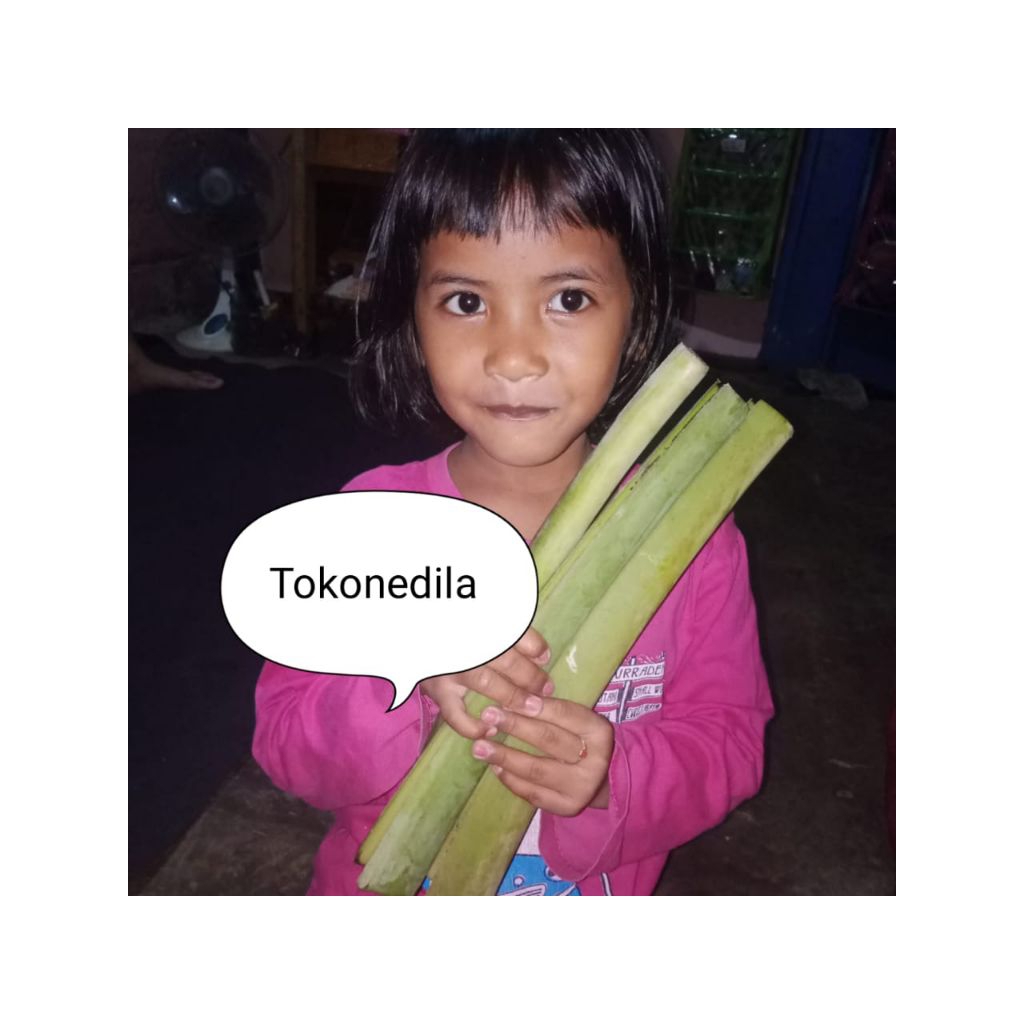 

Tulang Daun Pisang Segar 5ppcs