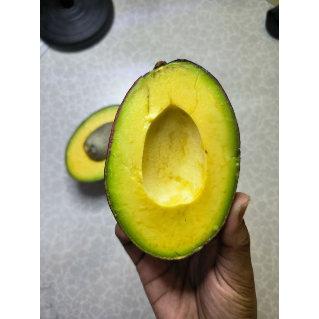 

ALPUKAT SUPER PREMIUM 1KG