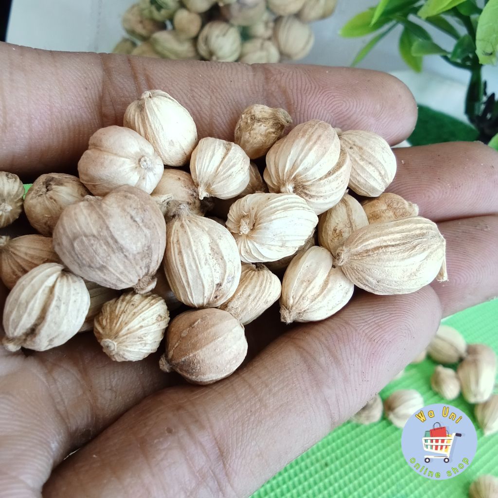 

kapulaga 25 gram - bumbu dapur - rempah - herbal - penyedap