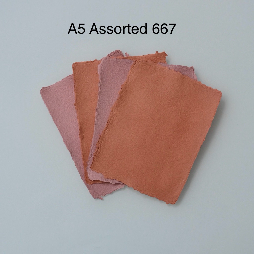

A5 Assorted 667