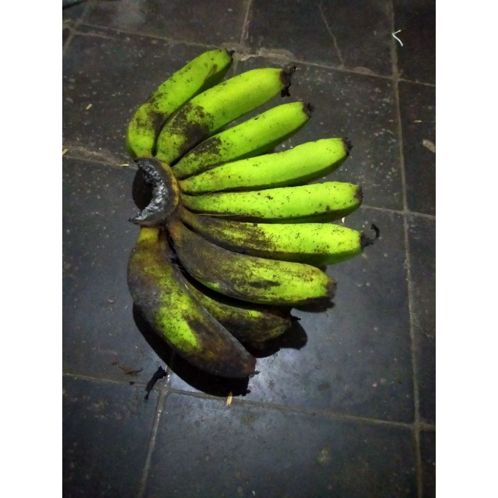 

pisangambon