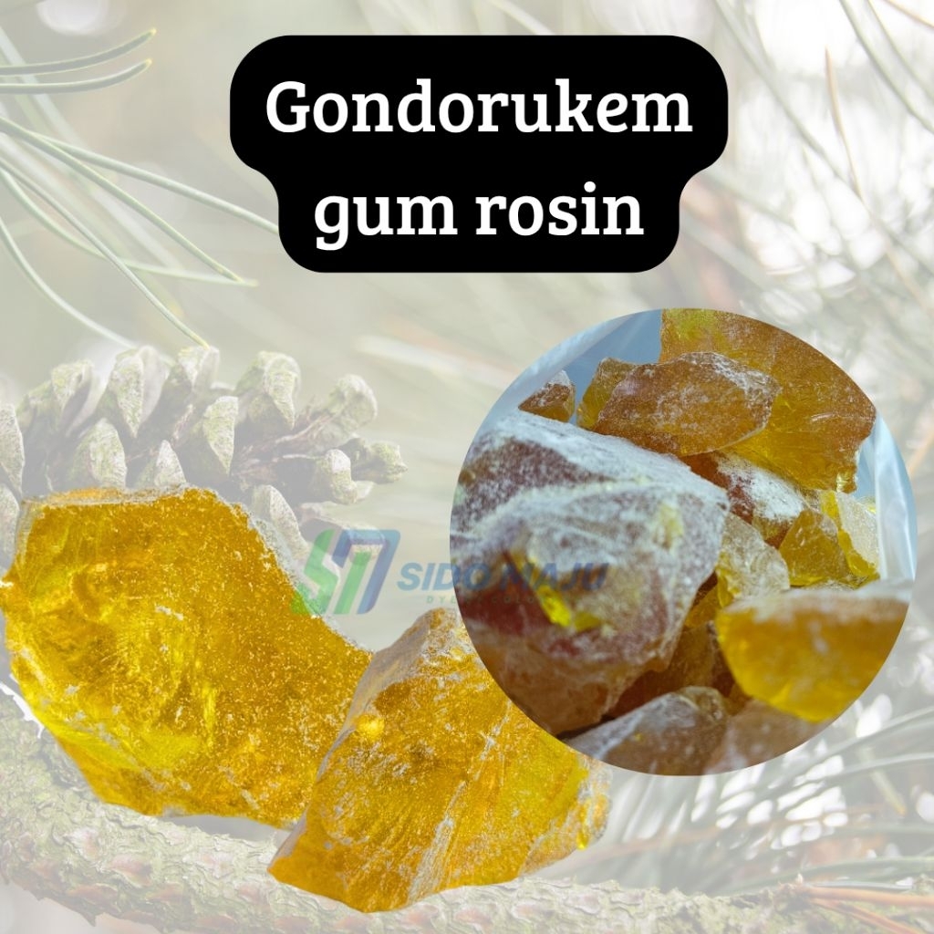 Gondorukem gum rosin getah pinus