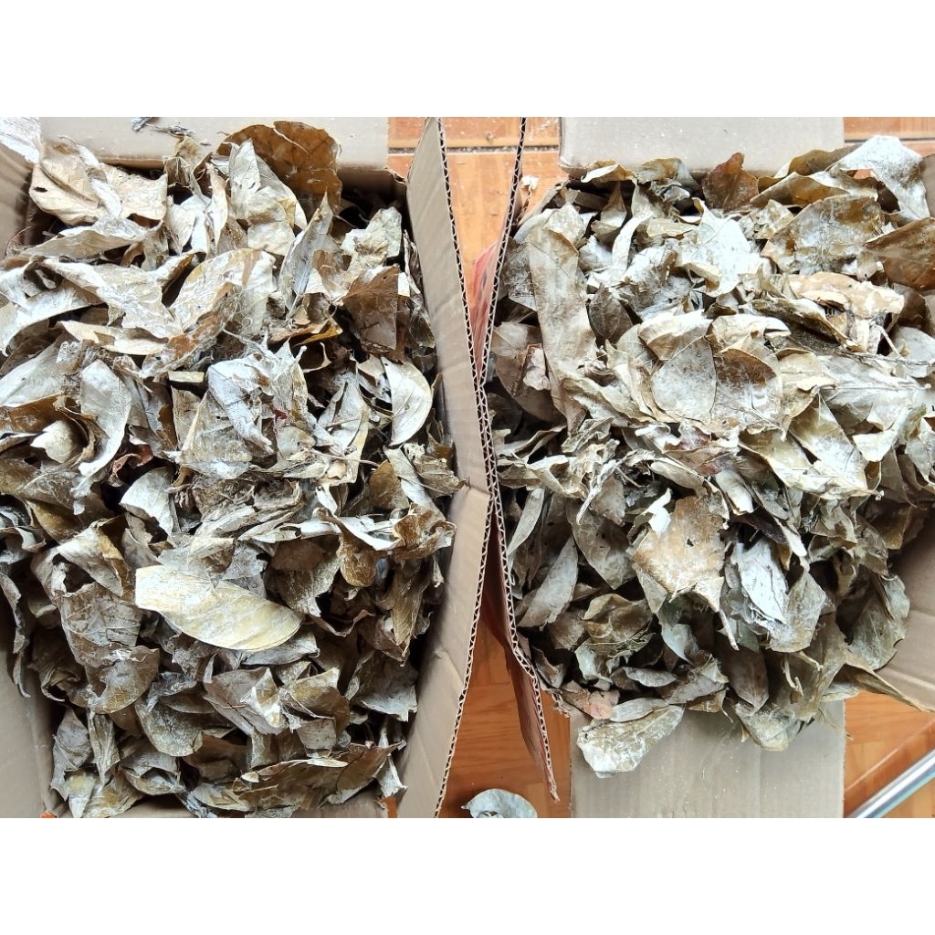 

daun gambir kering 1/2kg