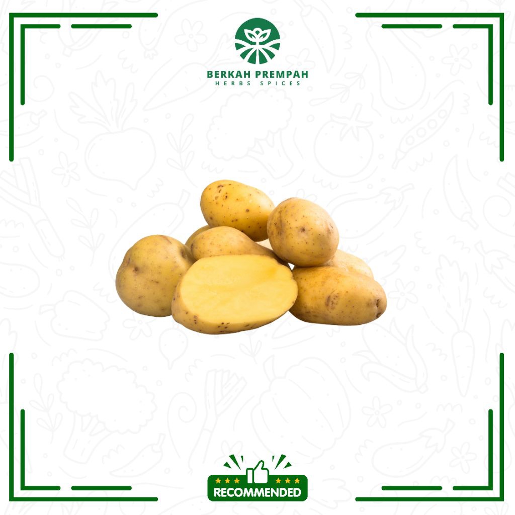 

Kentang segar / Kentang super segar -1000gr -BerkahPrempah