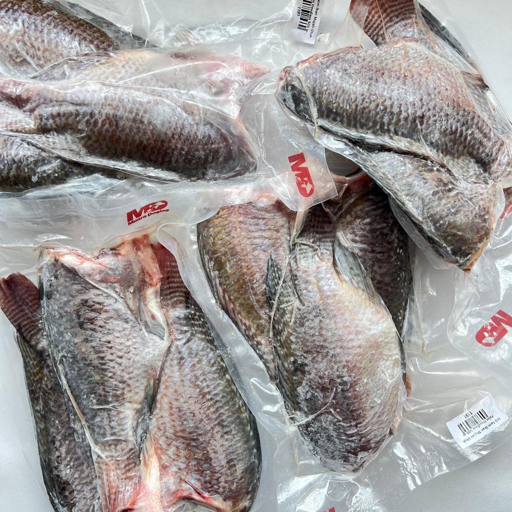 

MD FARM Ikan Mujair Utuh Polos (TANPA KEPALA) 500gr - BEBAS PENGAWET
