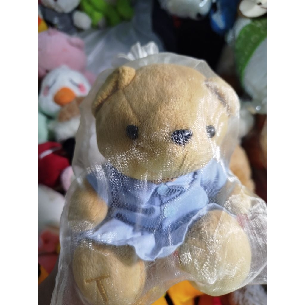 Boneka TEDDY Baju Biru