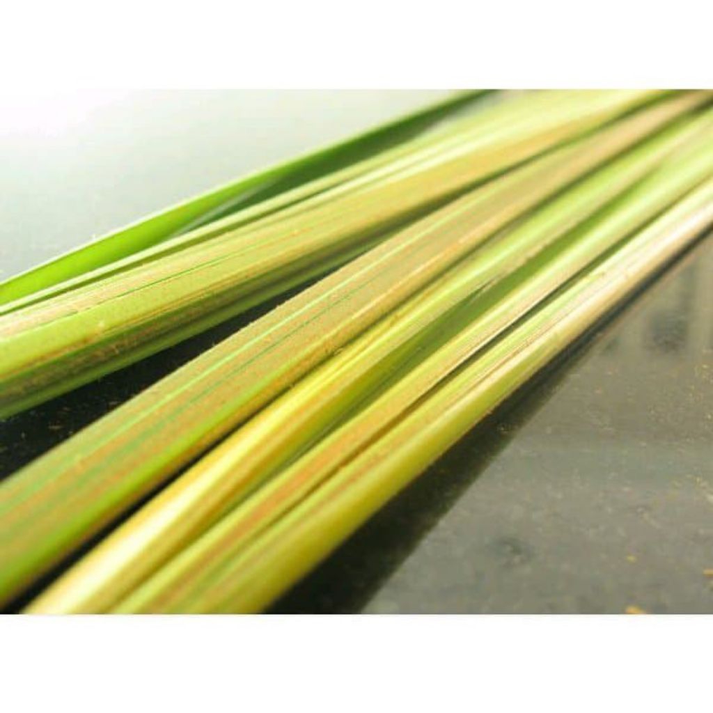 

Daun Janur | Daun Kelapa Muda | Bahan ketupat 20 batang (40 helai)