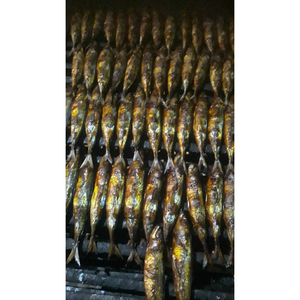 

ikan layang ukuran sedang isi 10 ekor