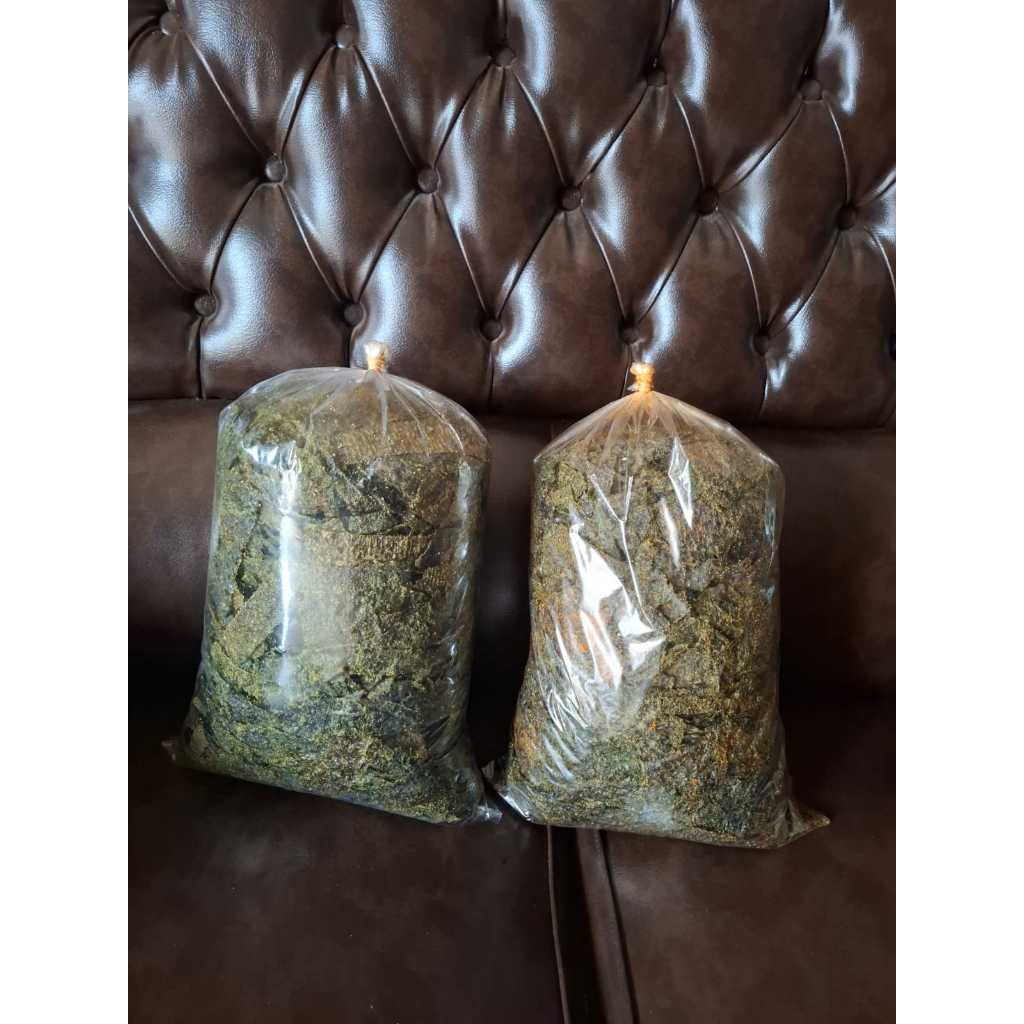 

NORI Rumput Laut Kemasan box 500 ML cemilan Sehat Tanpa Pengawet Rumput Laut Murah