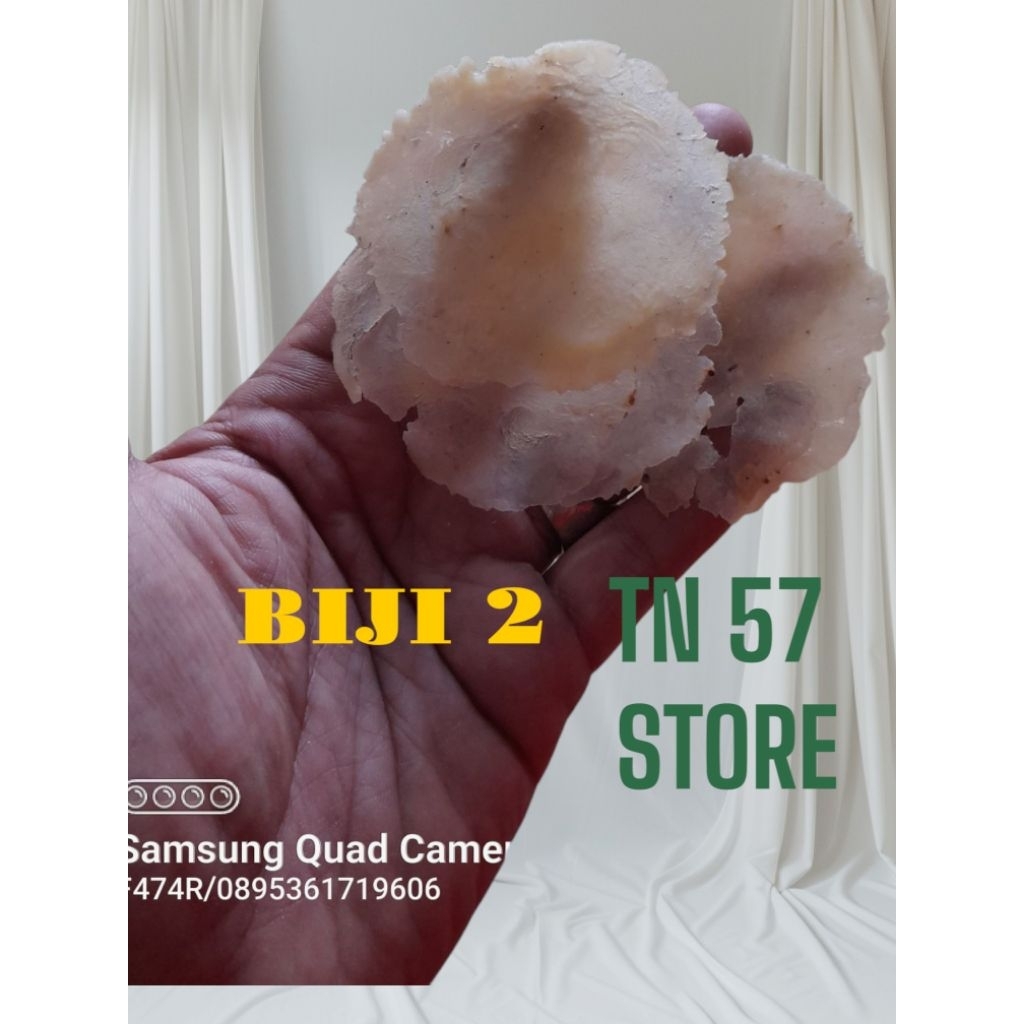 

Nycyta Home Emping Melinjo Kebumen Full Kering Uk Sedang ( Biji 2 ) Kemasan Per 1Kg