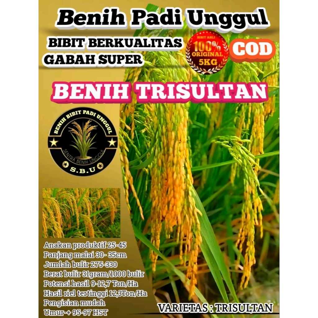 BENIH PADI SUPER UNGGUL TRISULTAN GENJAH 5KG