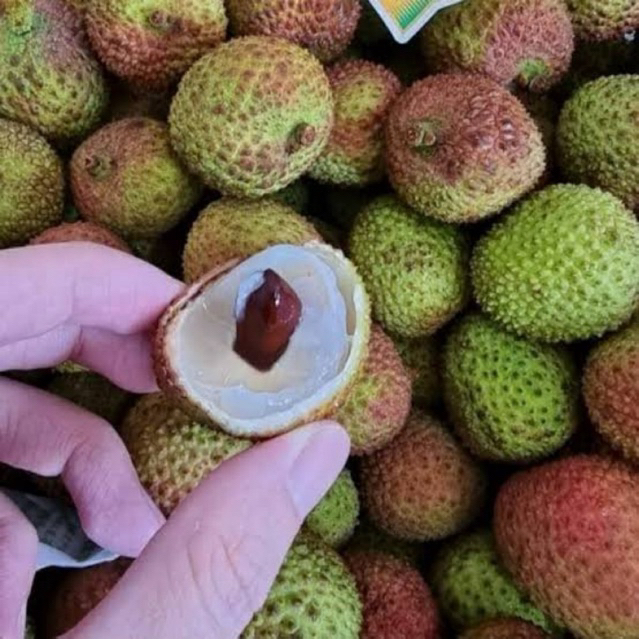 

Leci Hijau Madu 1 Kg