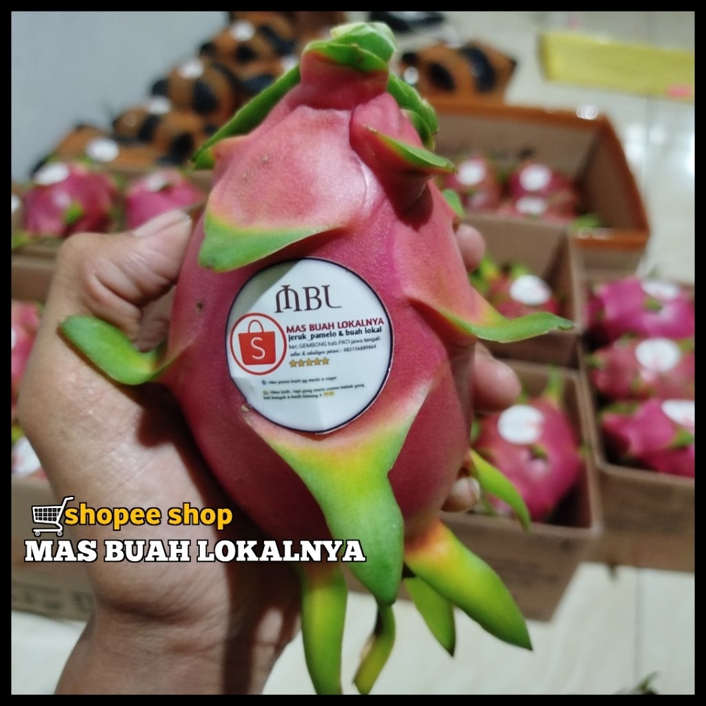 

BUAH NAGA PUTIH 500-GRAM