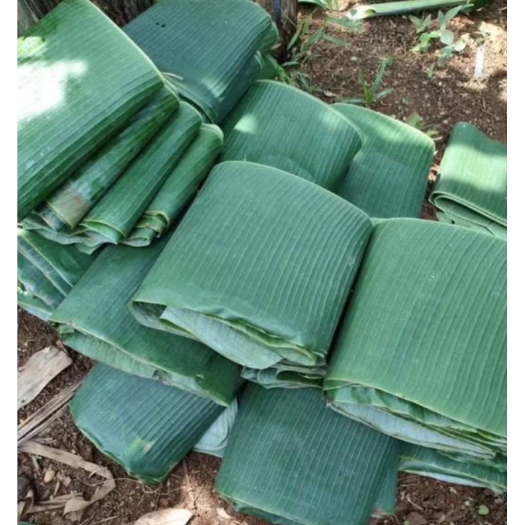 

DAUN PISANG 500 gr,.