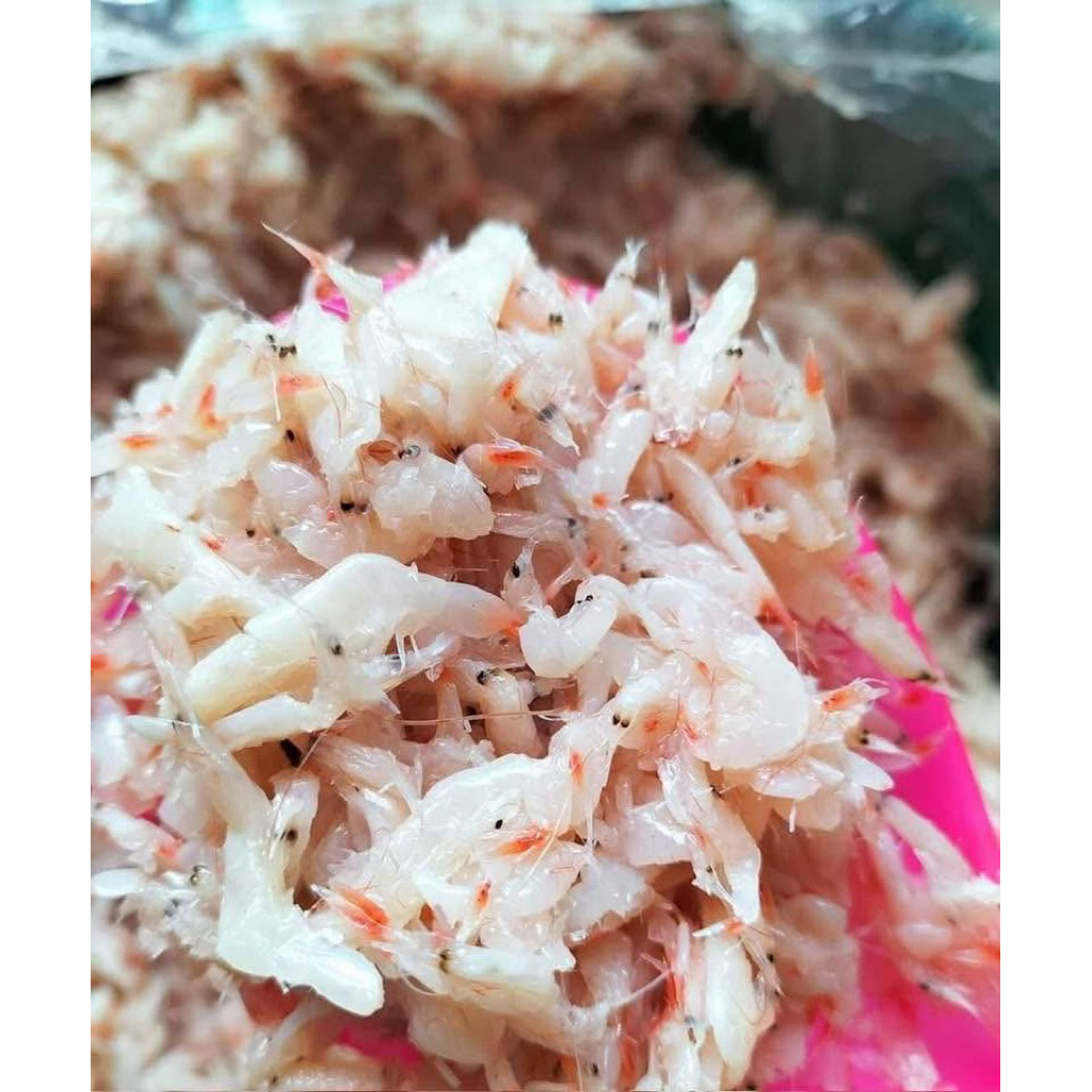 

Halal | Saeujeot Fermented Shrimp | Udang Fermentasi | bumbu kimchi | saeujot | seujot