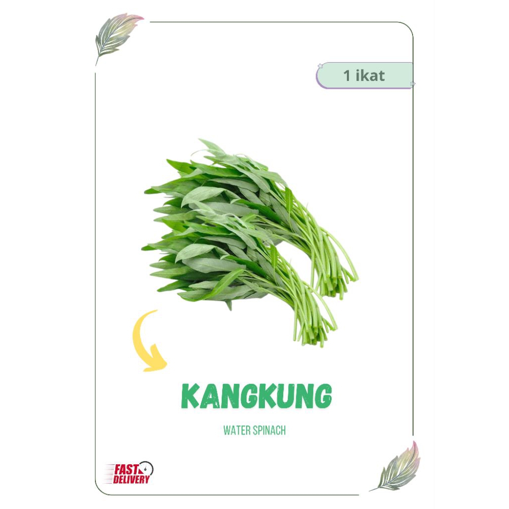 

KANGKUNG HIJAU