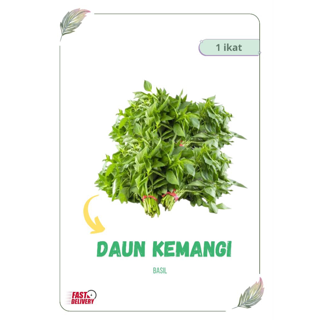 

DAUN KEMANGI