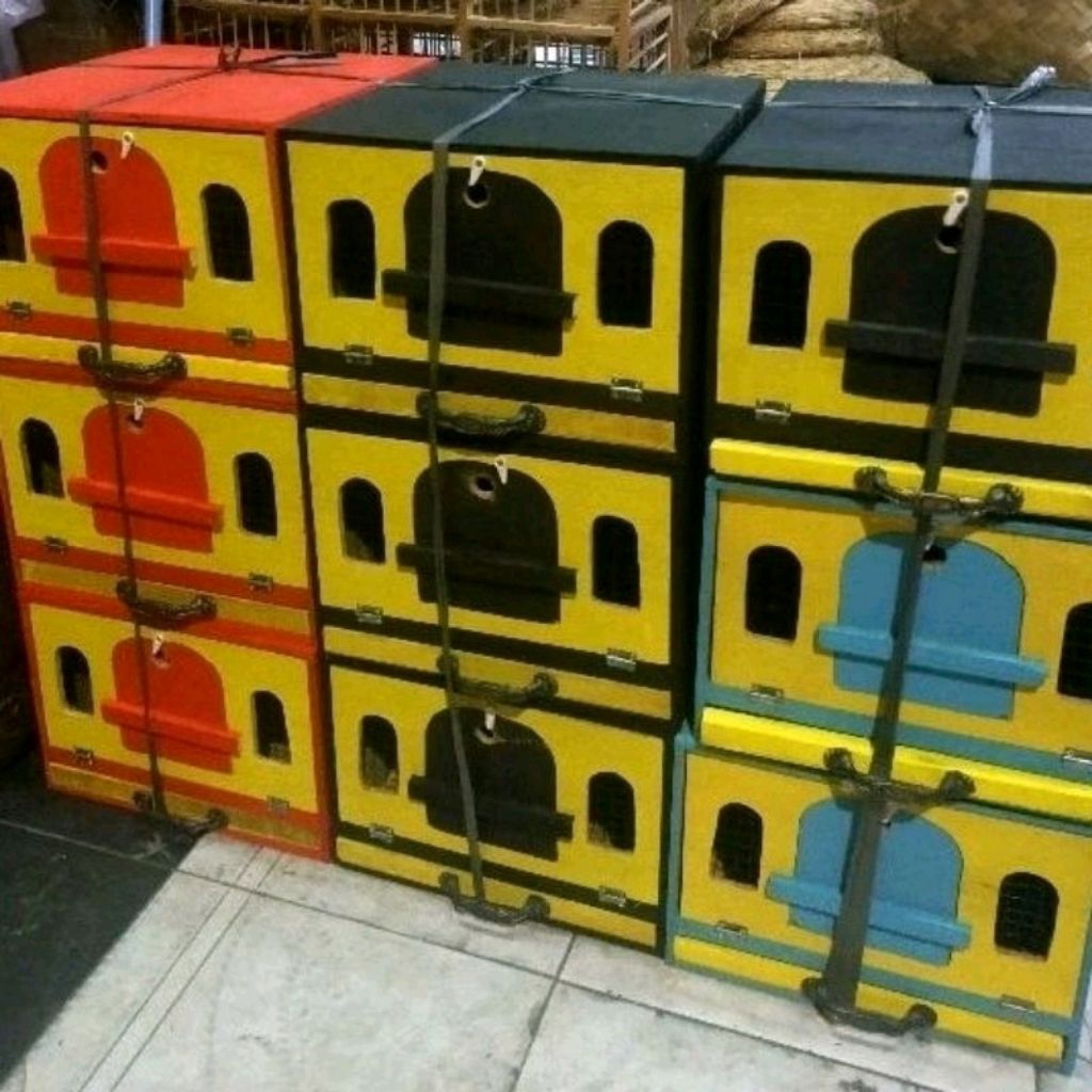 gufon merpati kandang burung dara kandang burung merpati satu kandang kotak