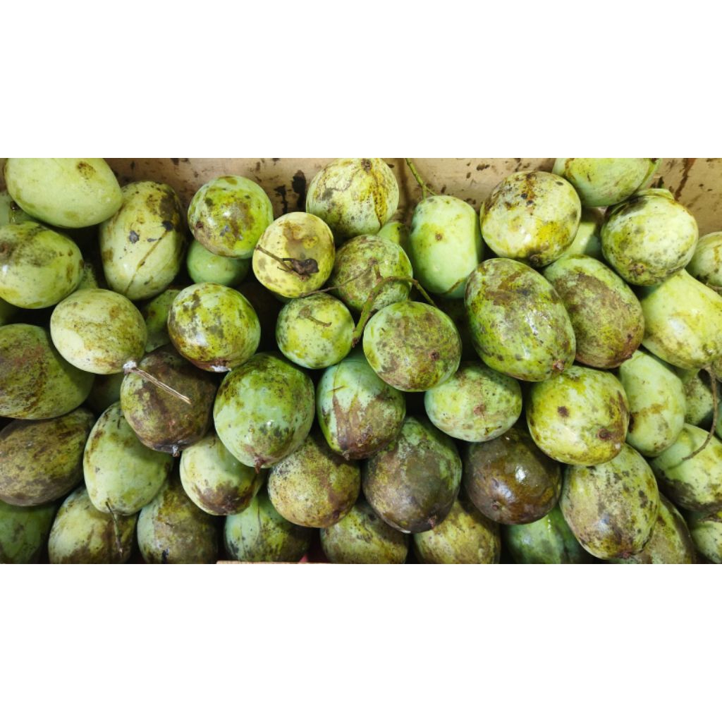 

MANGGA Dr Indramayu KEMASAN PREMIUM 1KG