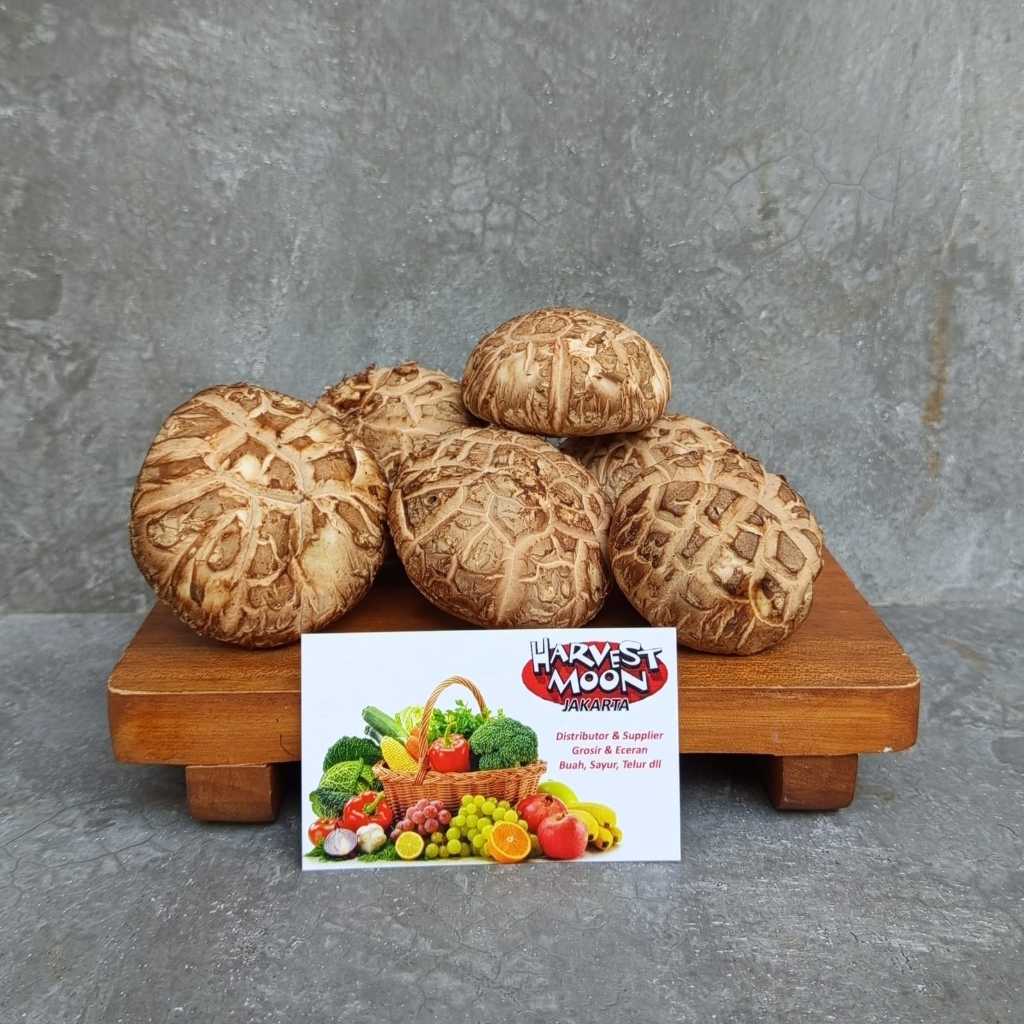 

HarvestMoon Jamur Shitake Basah Import Per Pack