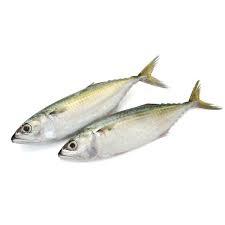 

Ikan kembung segar 500gr