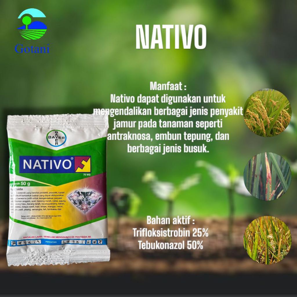 Fungisida NATIVO 50gram