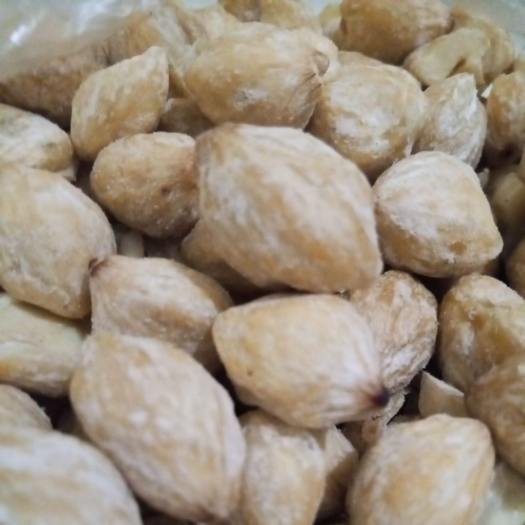 

Kemiri Bulat Utuh | Kualitas Premium | Bumbu Masakan Tradisional | 250gr / 500gr / 1kg