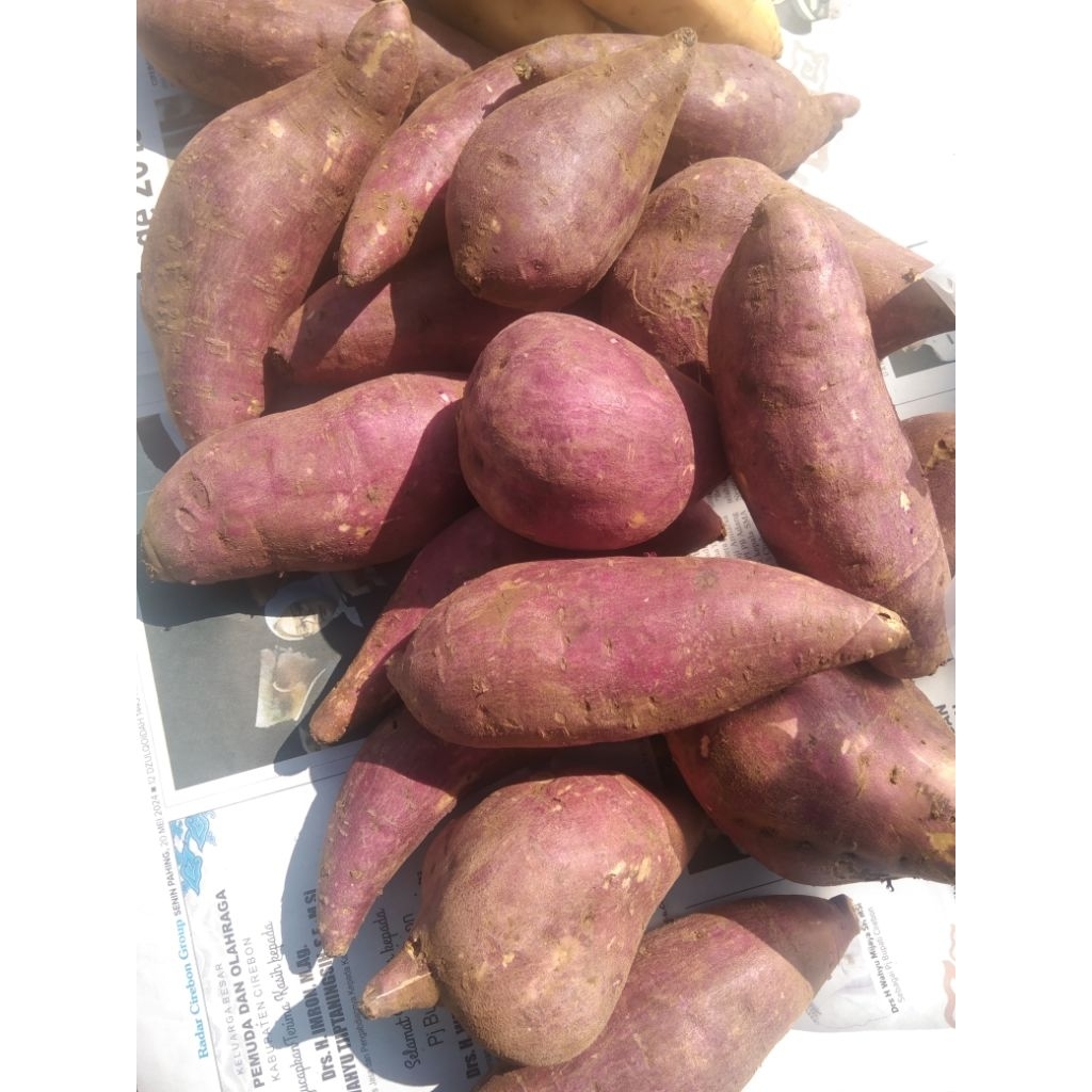 

Ubi Keriting 1 kg, 500 gram, dalamnya putih luarnya ungu