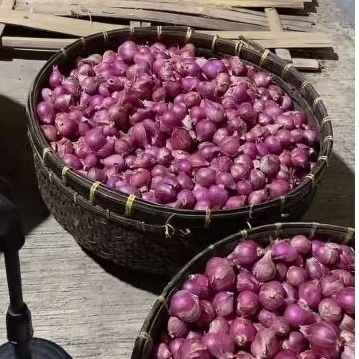 

PROMO 1KG BAWANG MERAH SEDANG