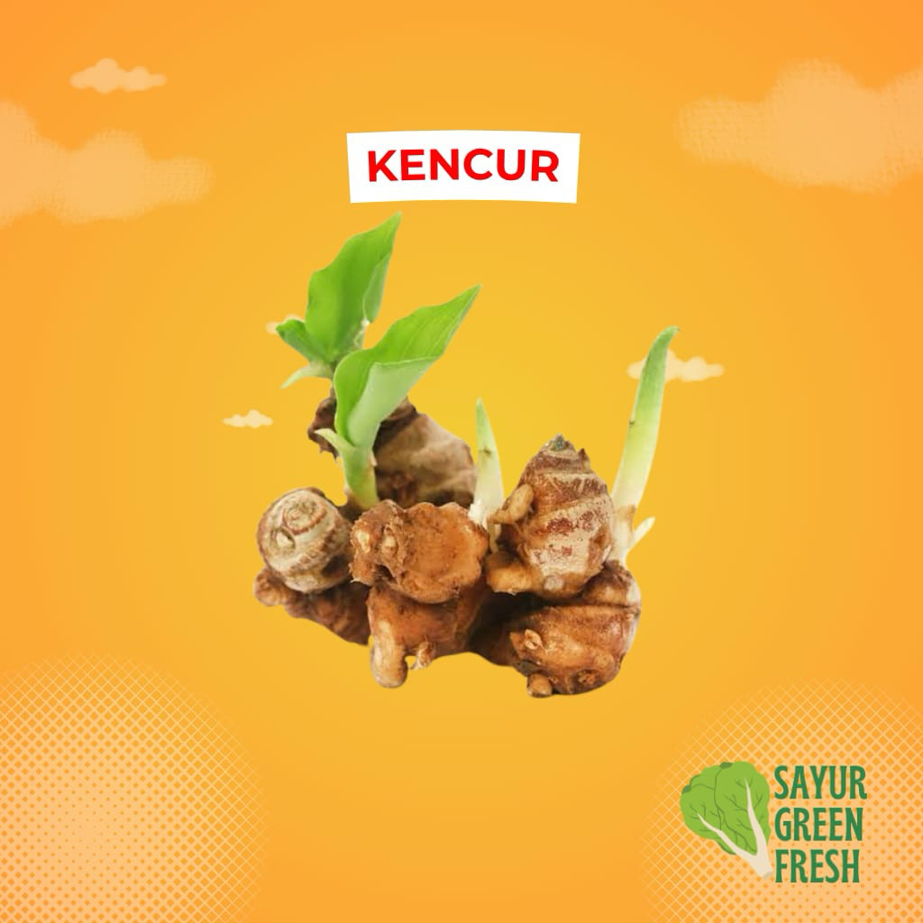 

[Bintaro] Kencur Segar 500 gr