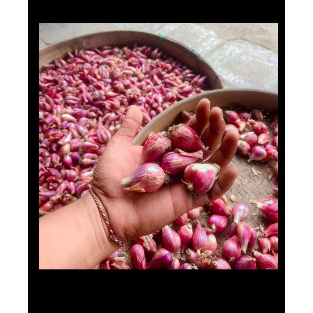 

Bawang Merah Nganjuk ukuran Sedang dan kering 500gr