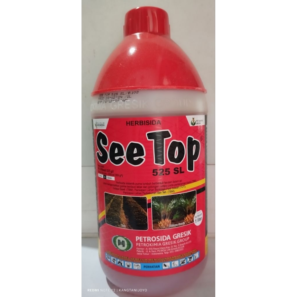 SEE TOP 1LITER ORIGINAL PRODUK