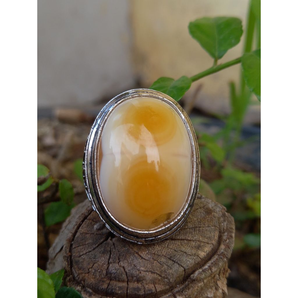 Akik Sulaiman Dobel Bungkem